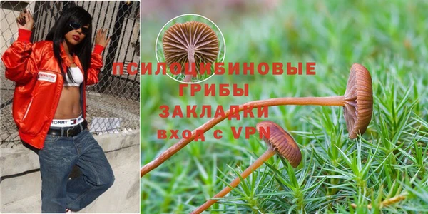 герыч Елизово