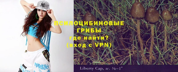 экстази Ельня